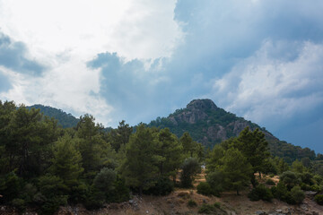 Forest and mountains against a cloudy sky