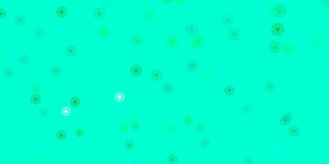 Light Green vector natural backdrop with flowers.