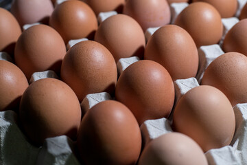 Closeup de huevos colocados en una huevera. 