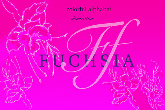 initial symbol of fuchsia hue as alphabet guide to color naming, verbal word defines image saturation and represents lettering graphic element on general image plan as logical puzzle with answer