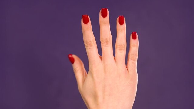 Countdown. Closeup female hand counting from 0 to 5 on purple background. Girl shows fist fist, then one, two, three, four, five fingers. Manicured nails painted with beautiful red polish.