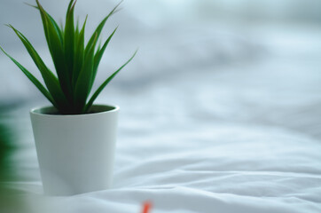 Conceptual object on the floor.