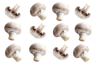 layout with champignons on a isolated background, a group of delicious fresh mushrooms in the distance, a template for printing,