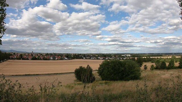 View on the fields 
