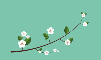 Spring flower branch with green background  