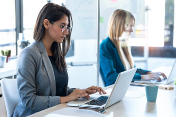 Two business women work with laptops on the partitioned desk in the coworking space. Concept of...