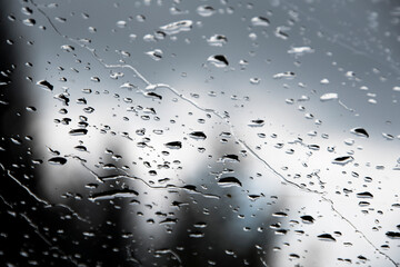 Rain drops on car window and tree contours behind