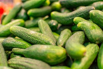 Close-up of a group of fresh green cucumbers. Organic vegetables cucumbers in the tray. Delicious cucumbers. You can use it as a background.
