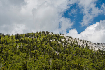 Velebit is on of the most beautiful karst mountains in Croatia and favorite place for many adventures and hikers