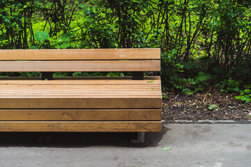 park bench among the trees