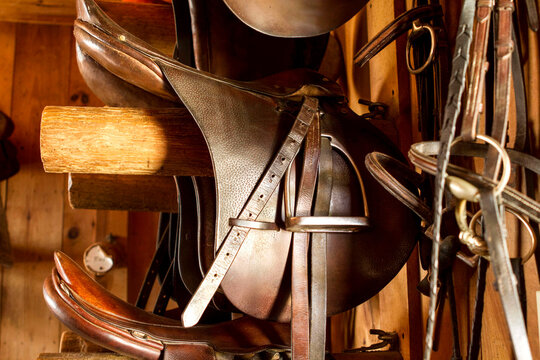close up of brown Saddles in a Tack Room