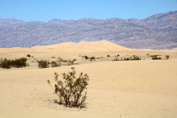 Fototapeta na wymiar Death Valley National Park California, USA