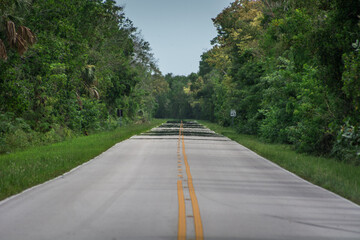 Straight long asphalt road in Everglades National Park, Florida, USA. Tropical vegetation on both sides of road. Light shimmering in distance. Long shot