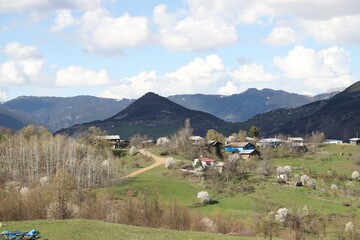Fototapeta premium Village houses on hills with green meadows in summer day.artvin/turkey