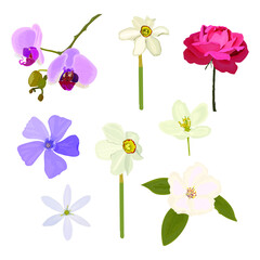 Botanical set. Flowers daffodils, rose, apple tree, periwinkle, quince, orchid. Vector stock illustration eps 10.