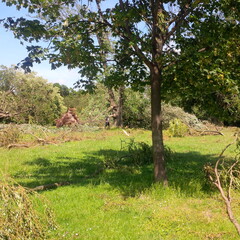 Düsseldorf Sturm Ela 2014