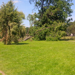 Düsseldorf Sturm Ela 2014