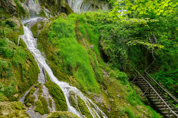 Small mountain waterfall on the rocks covered with moss in the forest
