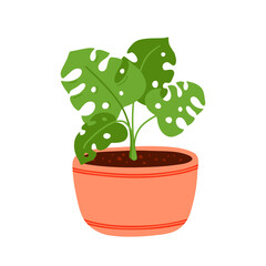 Vector cartoon monstera plant in pot