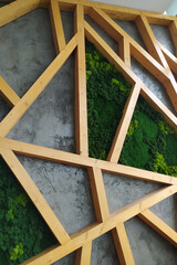 green wall of decorative moss in a modern office