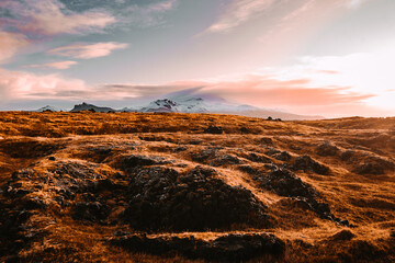 Iceland Landscape