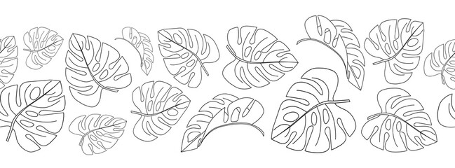 Seamless hand-drawn tropical border with exotic monstera leaves on a white background. 