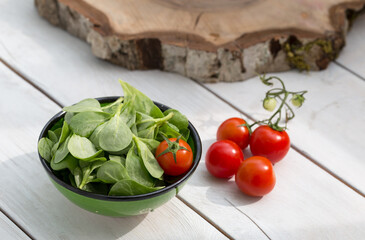 Fresh purslane salad with tomatoes.