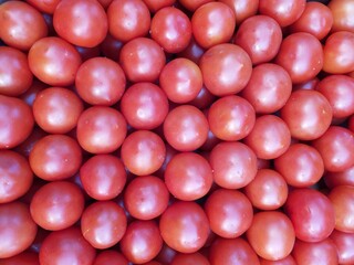 
Canvas with red tomatoes laid out in a row.