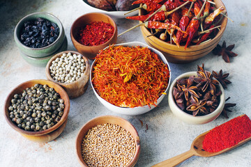 Colorful indian spices and herbs in bowls on light concrete table
