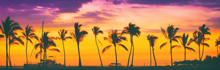 Fototapeta na wymiar Sunset beach palm trees silhouette in sun glow flare panoramic. Hawaii travel destination banner panorama header background