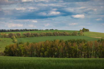 Daytime landscape with green fields and trees