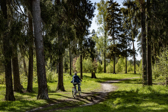 Young man riding a bike in the forest