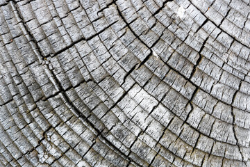 old wood texture background