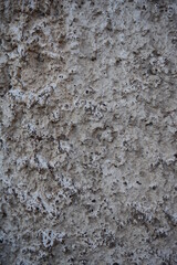 stone wall texture