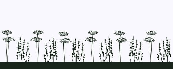 silhouette of the field grass pattern in the band of ornament the contours of wild plants Wallpaper fabric wrapping paper greeting card ribbon vector