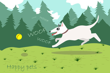 Cute Bull terrier chases a ball. Dog plays in the backyard on a bright sunny day. Healthy, energetic pet is actively running in nature. Positive illustration for print in vitamins, foods or social ads