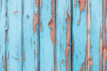 Old fence with the bluepeeled-off paint
