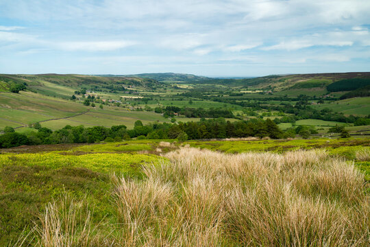 North York Moors under blue sky in spring. Glaisdale, UK.