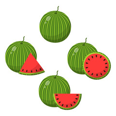 set of watermelon fruits isolated on white