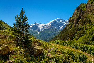 Fototapeta na wymiar View of Mount Donguz-Orun and Kogutai and glacier 
