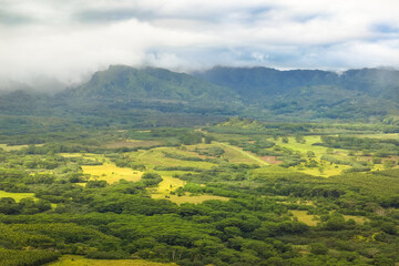 Fototapeta premium View across overgrown hills in Kauai, Hawaii