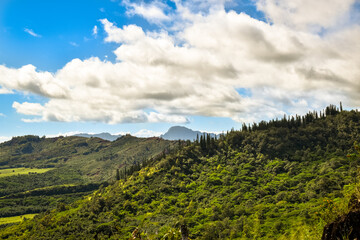 View across overgrown hills in Kauai, Hawaii