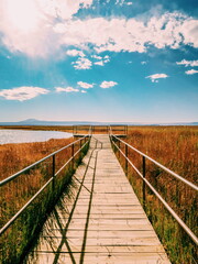 Laguna Cejar, Atacama Desert, Antofagasta, Chile © Victor Costa