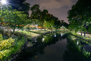 Obraz premium lake in the night