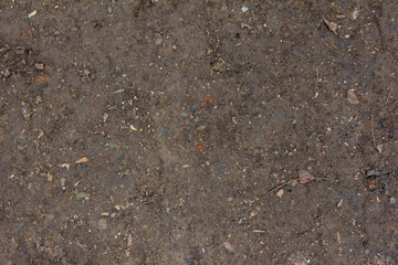 Ground texture