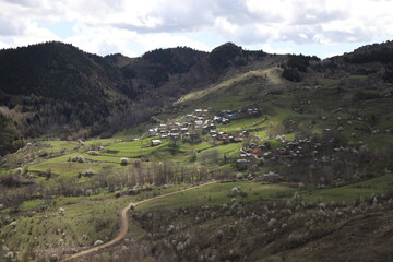 Fototapeta premium Village houses on hills with green meadows in summer day.artvin/turkey
