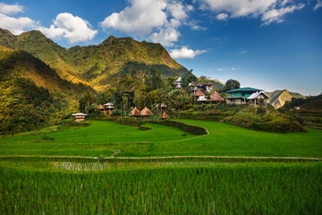 Fototapeta na wymiar Traditional village in the middle of rice terraces. Separate sprouts of rice are in the foreground.