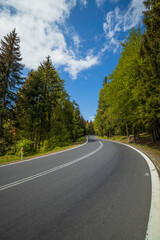 Fototapeta na wymiar winding mountain road in a green forest