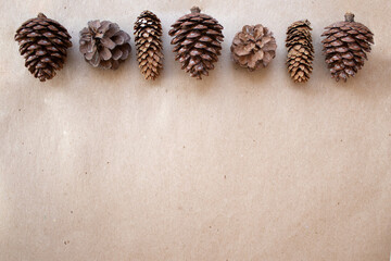 beige background with pine cones from the forest