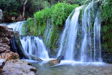 Fototapeta na wymiar Beautiful cascade of natural water amid green vegetation